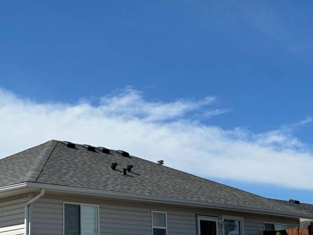 Best Steel Roofing  in Englewood, OH
